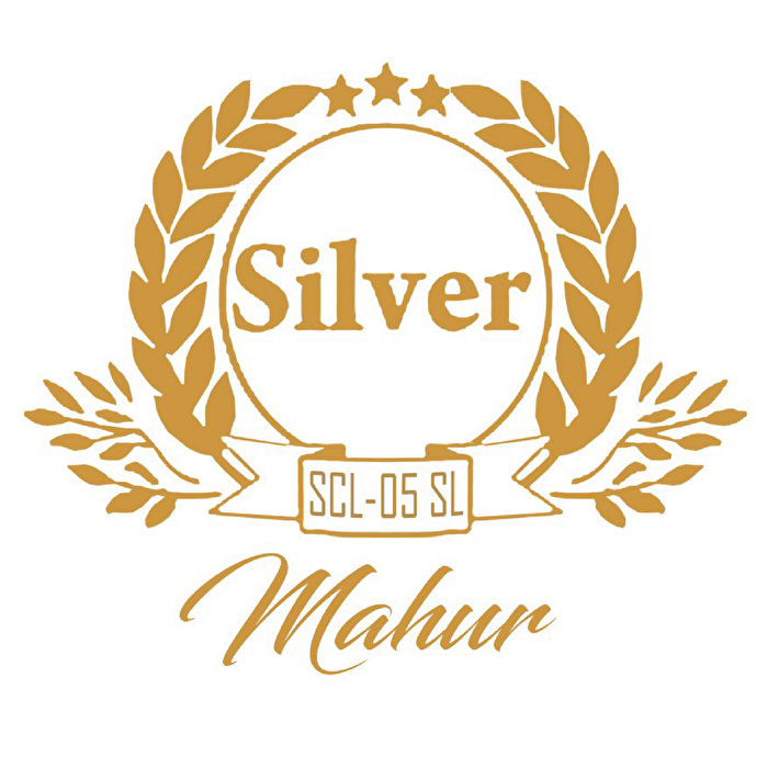SILVER SCL-05GL MAHUR / Pro Serisi Abanoz G (Sol) Klarnet (Gold Aksam)